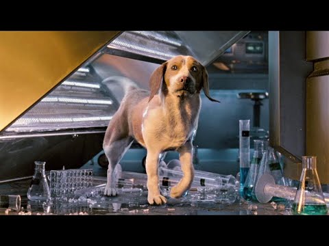 Köpek Yanlışlıkla Bir Maddeye Maruz Kaldıktan Sonra Süper Güçler Kazanıyor! Film ÖZETİ!