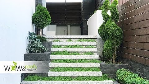 Ландшафтний дизайн. Озеленення ділянки в Україні