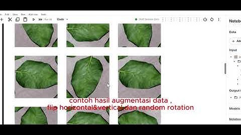 Klasifikasi Penyakit Tanaman pada Daun Paprika Menggunakan Convolutional Neural Network (CNN)
