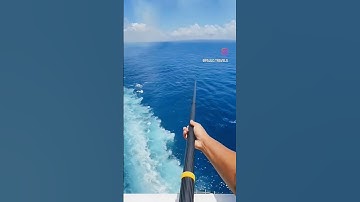 Thumbnail of #music #beingmariner #automobile #love #funny #travel #song #cruiseship #cruise #duet