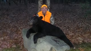 Pennsylvania Black Bear Hunt (2017 Season)