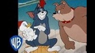 Tom & Jerry | Lessons At Home! | Classic Cartoon Compilation | WB Kids