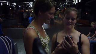 Kip Paard Koe - Ald Wal Heeg - Stierop