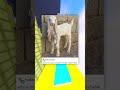 Cringe Funny Animal Memes!