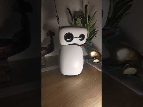 Technical interview with Malo (my custom Reachy Mini robot)