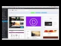 WordPress Divi Theme: Is It A Practical Choice For Your Business Website?