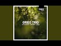 Miniature de la vidéo de la chanson Piano Trio In G Minor, Op. 15: 1. I. Moderato Assai - Più Animato