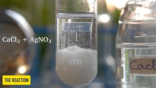 Does CaCl2 and  AgNO3 form a precipitate? | CaCl2+AgNO3