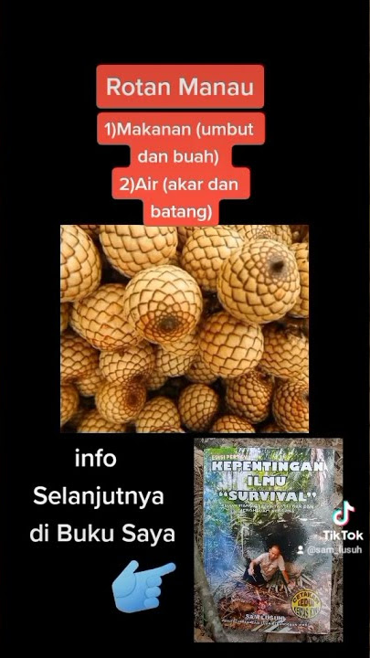 Rotan Manau Sumber Makanan Sewaktu Survival