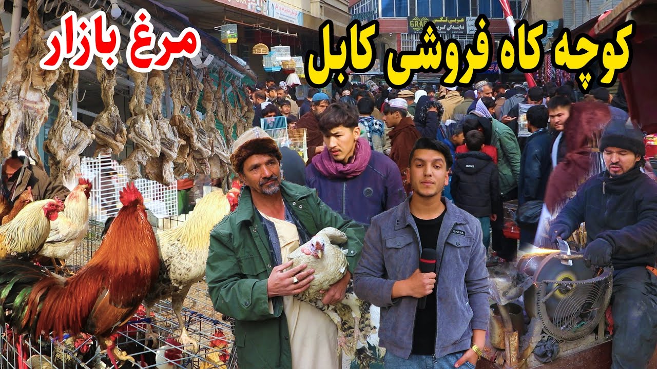 شهر کابل، جمعه بازار، کاه فروشی، گوشت قاق/ گزارش میلاد حکیمی