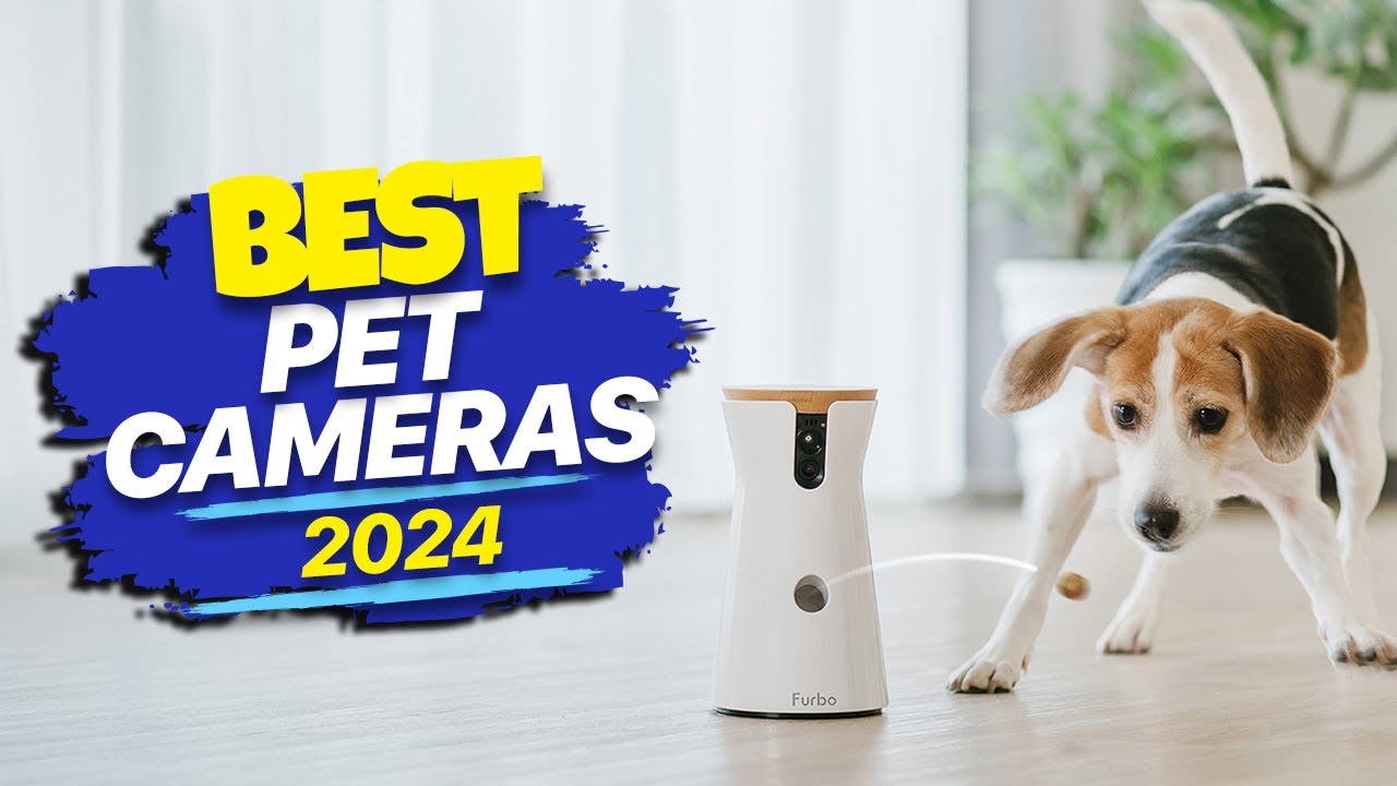 Best Pet Cameras of 2024 Pet Parenthood YouTube