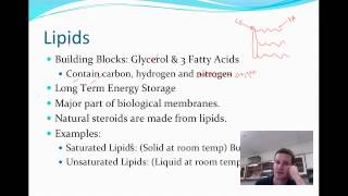 BioAcc VL-Macromolecules part 2.mp4