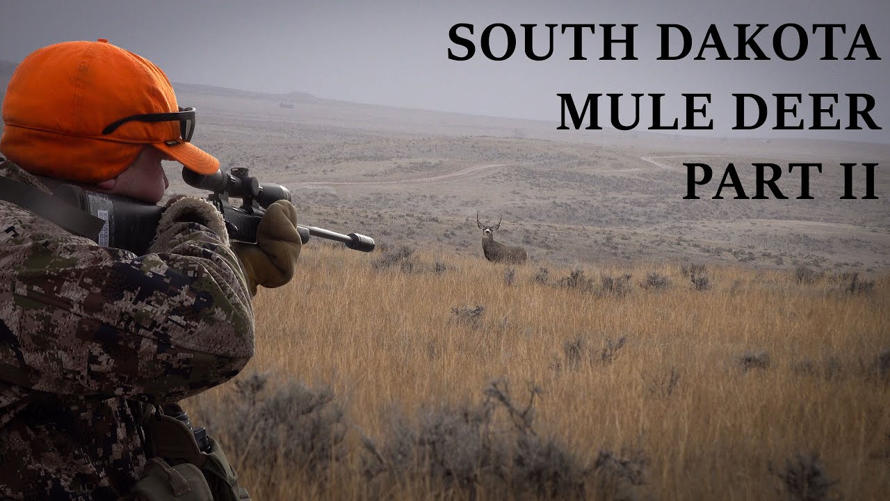 2024 South Dakota Mule Deer Part II We Got A Buck Kind Of YouTube 2024-south-dakota-mule-deer-part-ii-we-got-a-buck-kind-of-youtube