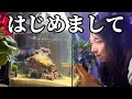 【感動】どうしてもやりたかった水槽!小型水槽で簡単にカクレクマノミとイソギンチャクを飼う!|アクアリウム|海水魚水槽|立ち上げ