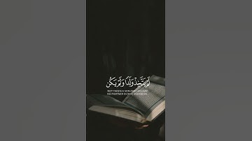 ما تيسر من سورة الإسراء للقارئ #احمد_صالح_النعيمي