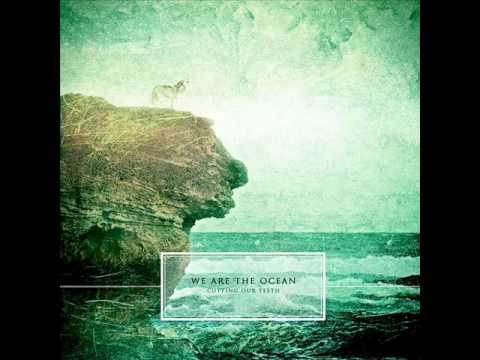 we are the ocean don t take chances