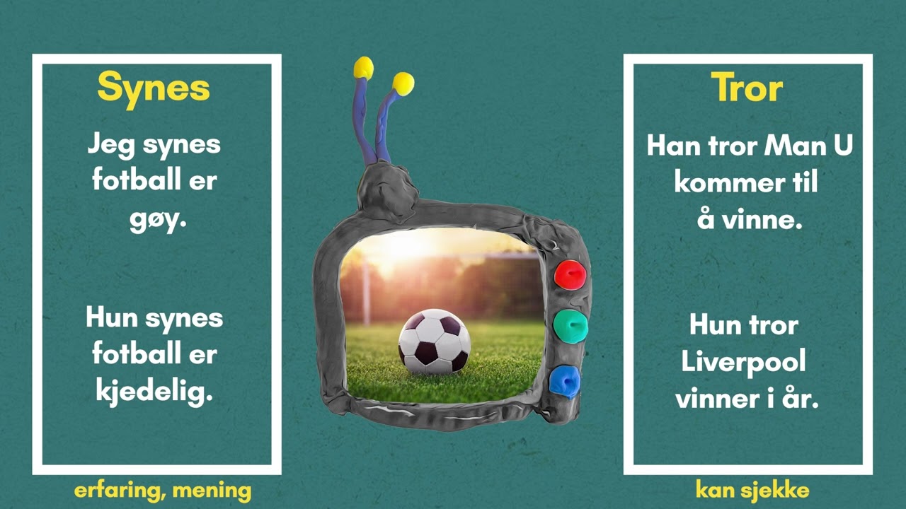 Synes og tror: Arabisk/Bokmål