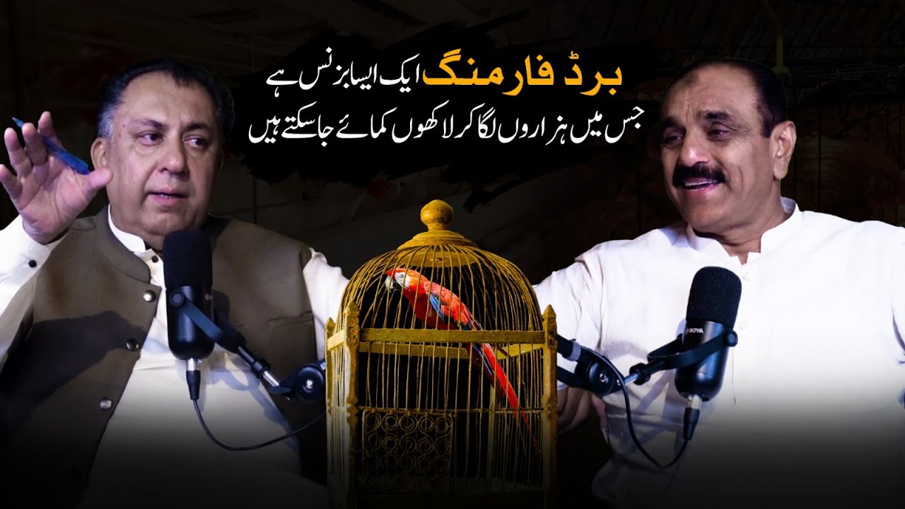 Bird farming business, earn millions - Bird farming business idea with low investment