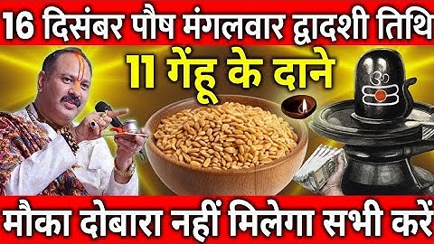 16 दिसंबर पौष मंगलवार द्वादशी तिथि के दिन 11 गेहूं के दाने वाला उपाय जरुर करे || Pradeep Ji Mishra