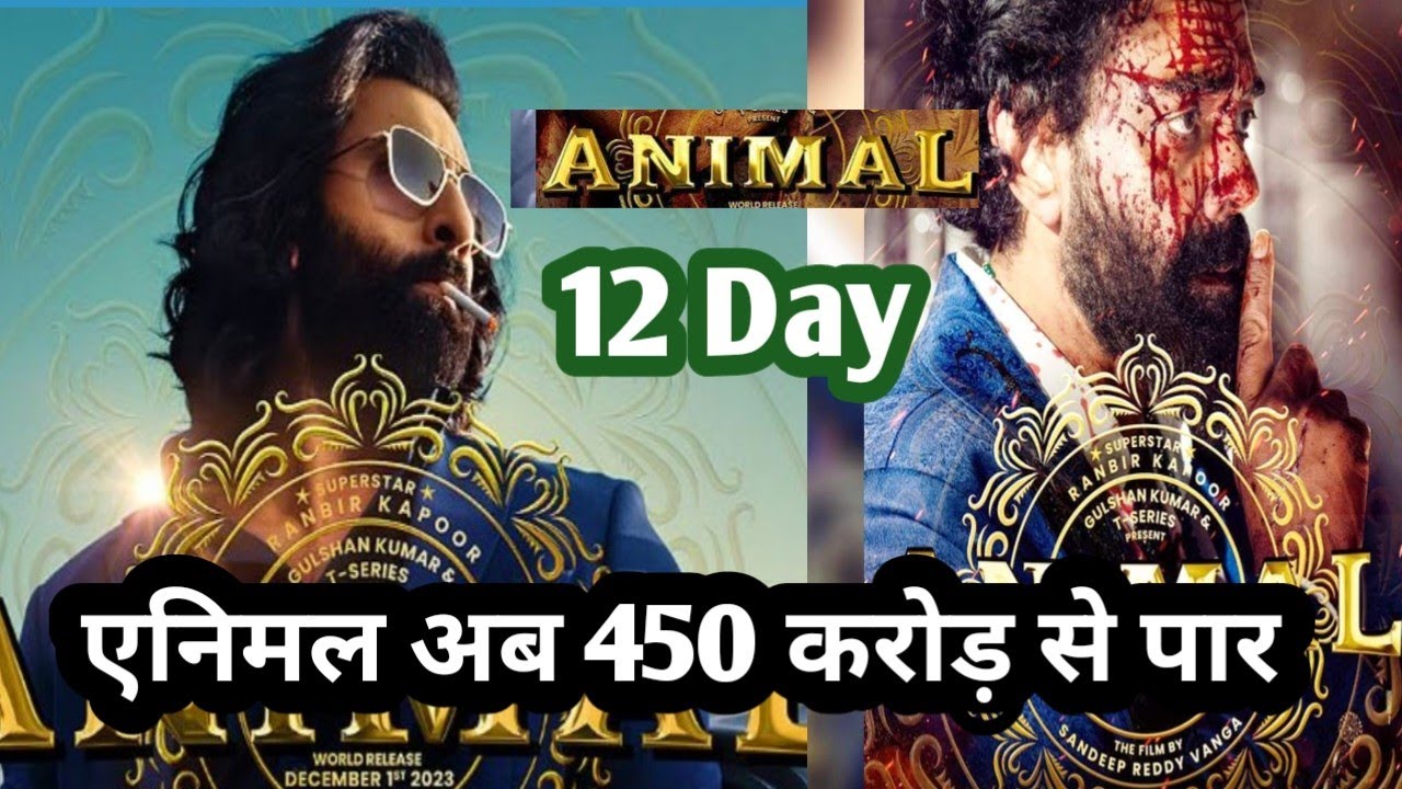 Animal 12 Day collection India | Animal box office collection day 11 |