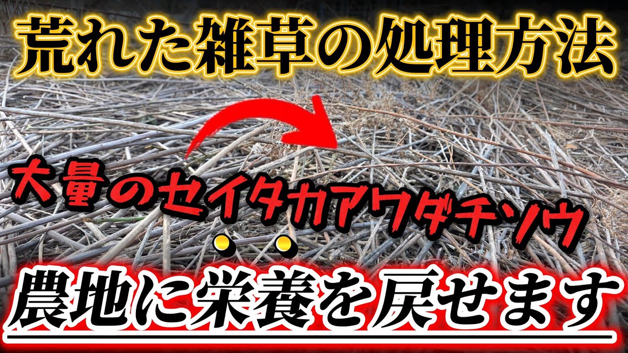 Abandoned Farmland] Here's an efficient way to deal with weeds