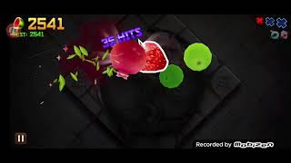 Fruit Ninja Classic Pomegranate 35 HITS
