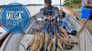 MEMANCING UDANG GALAH GORGON PALOH HINAI / Part 2 prawnfishing mancingudang