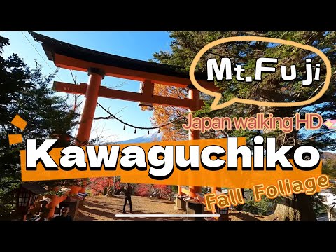 Kawaguchiko stunning viewing spots of Mt. Fuji | Exploring Lake Kawaguchi Japan