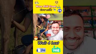 Wow Didi Great Cow Milk Funny Reaction Video Funny Videos