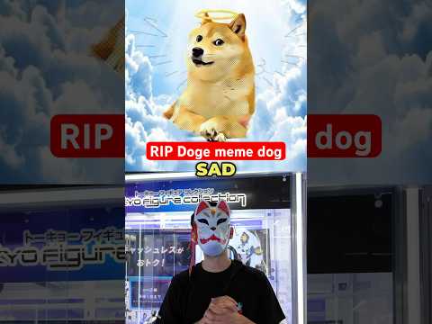 RIP Doge meme dog