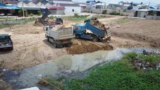 New Project Techniques Dozer and Mini Truck Processing Delete Pond By Dozer Pushing &Truck Uploading by MACHINE 4K 320 views 2 weeks ago 58 minutes