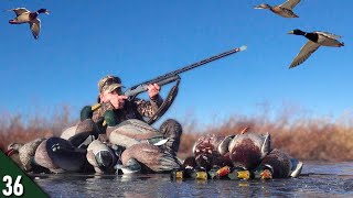 Solo MALLARD Limit Over a SMALL Decoy Spread! | Duck Hunting SMALL Water with a 28 Gauge