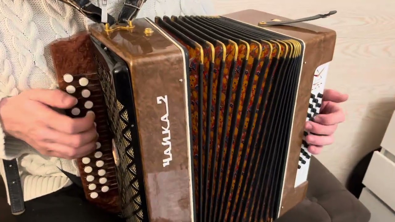 Чайка Шуйская 3 голосная. Новое состояние. Продажа (Купить) 89107349227