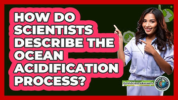 How Do Scientists Describe The Ocean Acidification Process?