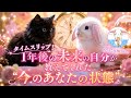 【特別コラボ回】タイムスリップ！1年後の未来の自分が教えてくれた“今のあなたの状態”🕰️うさとこさんとコラボリーディング✨✨