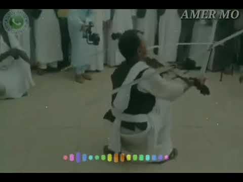 عرضة تراثية عامراب