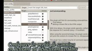 Web Application Auditing with W3AF