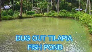English] Tilapia Farming - Tilapia Fishpond Design Ideas and Tips 
