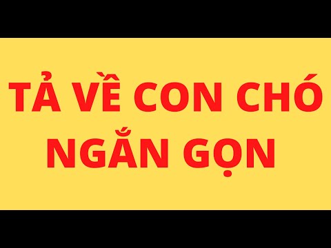 Video BÀI VĂN HAY TẢ VỀ CON CHÓ NGẮN GỌN - youtube