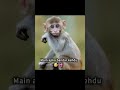😂😂 #funny #fun #viralvideo #viralvideo #trending #feed #shorts