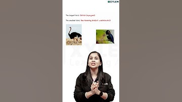 പക്ഷികളെ കുറിച്ചു പഠിക്കാം ! | Xylem Class 4