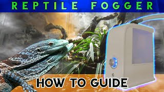 The complete Reptile Fogger DIY guide – what you need to know!