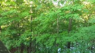 Tims Ford State Park Cabin View Video Tims Ford Park Cabins