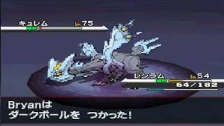 Pokemon Black - Kyuremu Battle Icedragon Legendary