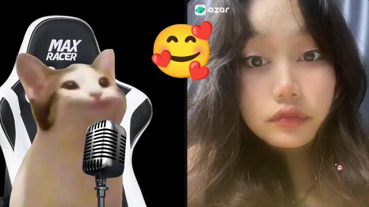 I Spent 24 Hours on Omegle with My Cat and You Won't Believe What