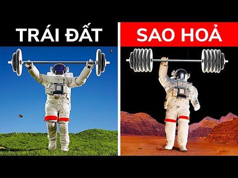Video Bạn Có Thể Nâng Được Một Con Voi Trên Hành Tinh Này - youtube