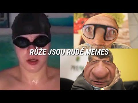 Video: Jaké Jsou Růže