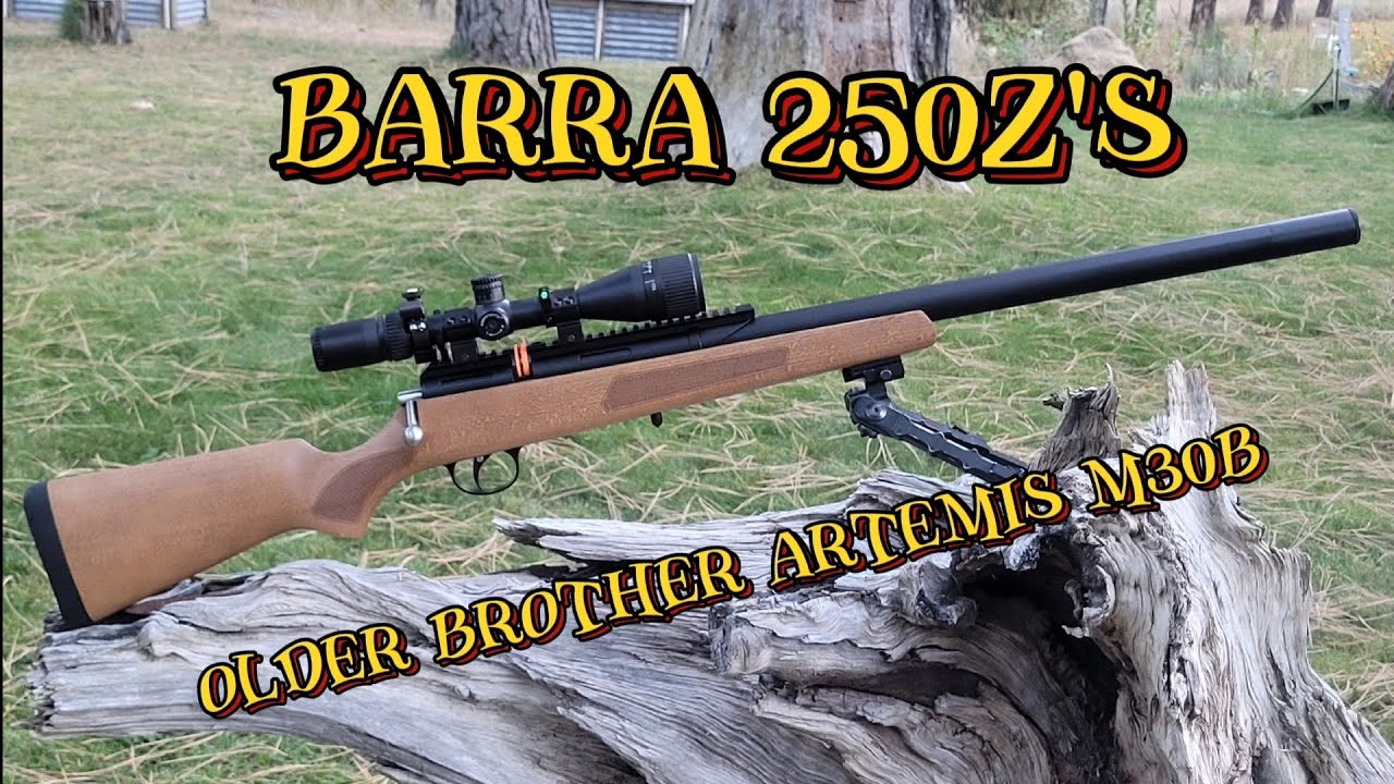 barra-250z-s-older-brother-artemis-m30b-50-yard-plinking-session-fun