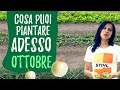 Cosa si COLTIVA a OTTOBRE nell'orto: Semine & Trapianti