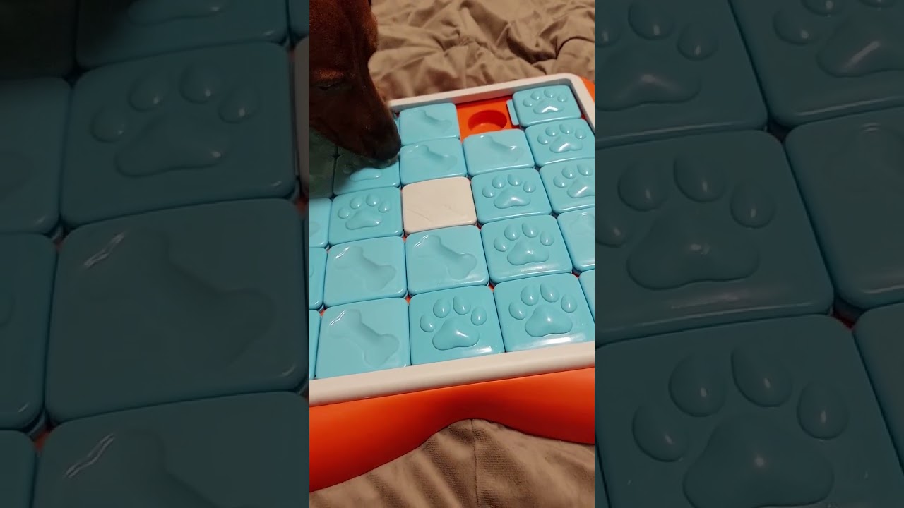 Dexter and the nina otterson challenge slider puzzle 